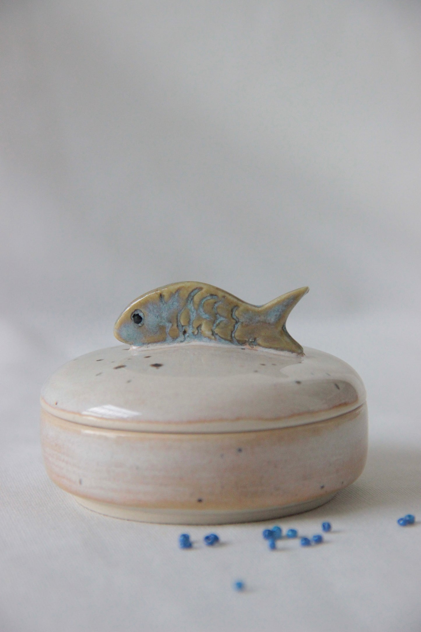 The Curious Fish Box | Milky White