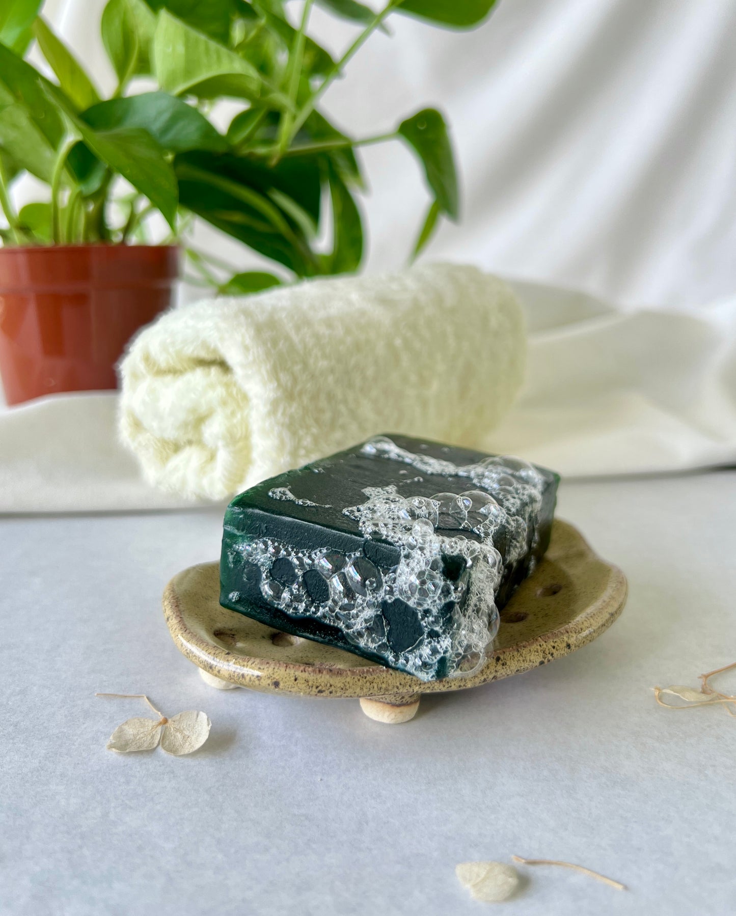 Ceramic Soap Dish | Brown