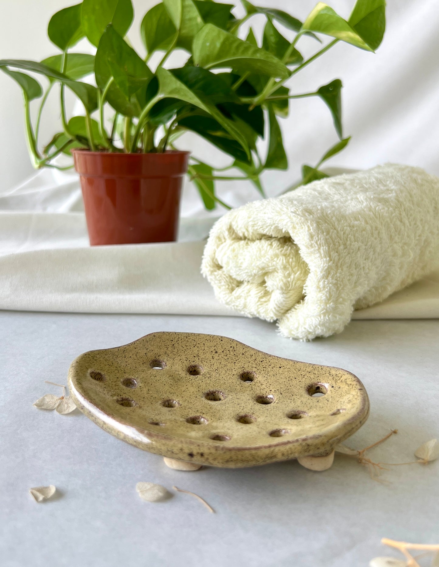 Ceramic Soap Dish | Brown